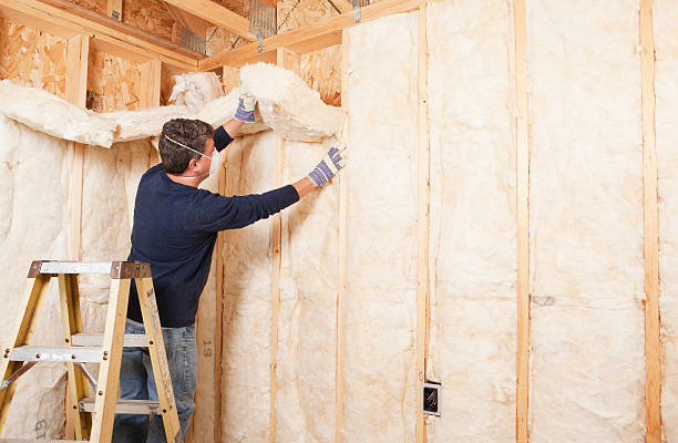 Best Garage Insulation in Nitro, WV